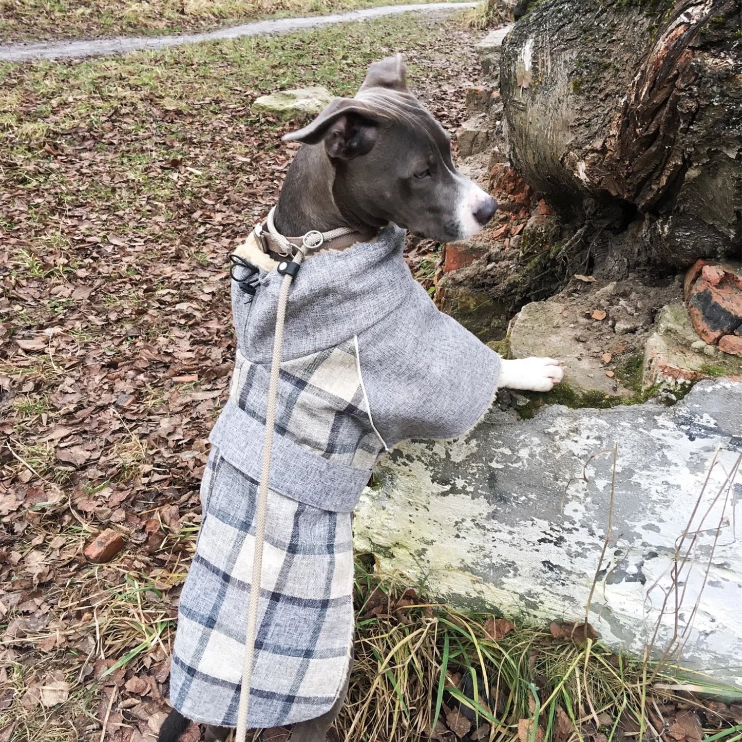 Dog Clothes Winter Thick Warm Dog Jacket for Small Large Dogs Reflective Windproof Pet Clothing Checked Strom Snow Dog Coat 3XL