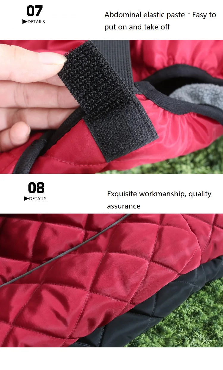 Pet Cotton Coat Autumn and Winter New Soft Large Dog Clothes Outdoor Reflective Dog Jacket Cold Warm Pet Clothing Supplies