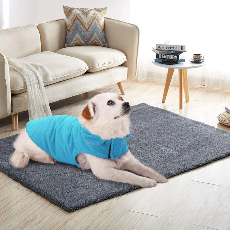 Benepaw Windproof  Warm Fleece Pet Clothing For Small Medium Large Dogs Winter Reflective Leash Hole Puppy Dog Clothes Jacket