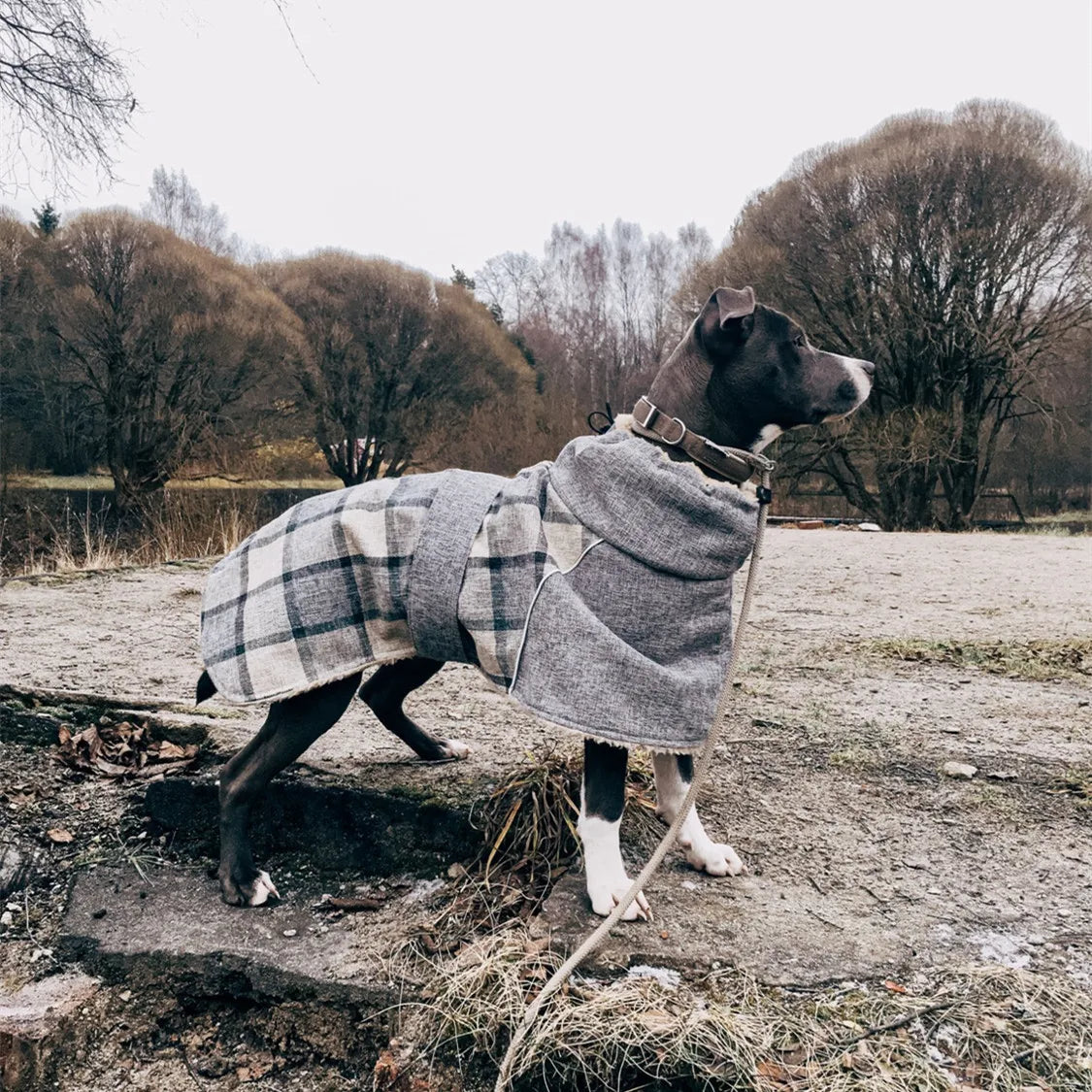 Dog Clothes Winter Thick Warm Dog Jacket for Small Large Dogs Reflective Windproof Pet Clothing Checked Strom Snow Dog Coat 3XL