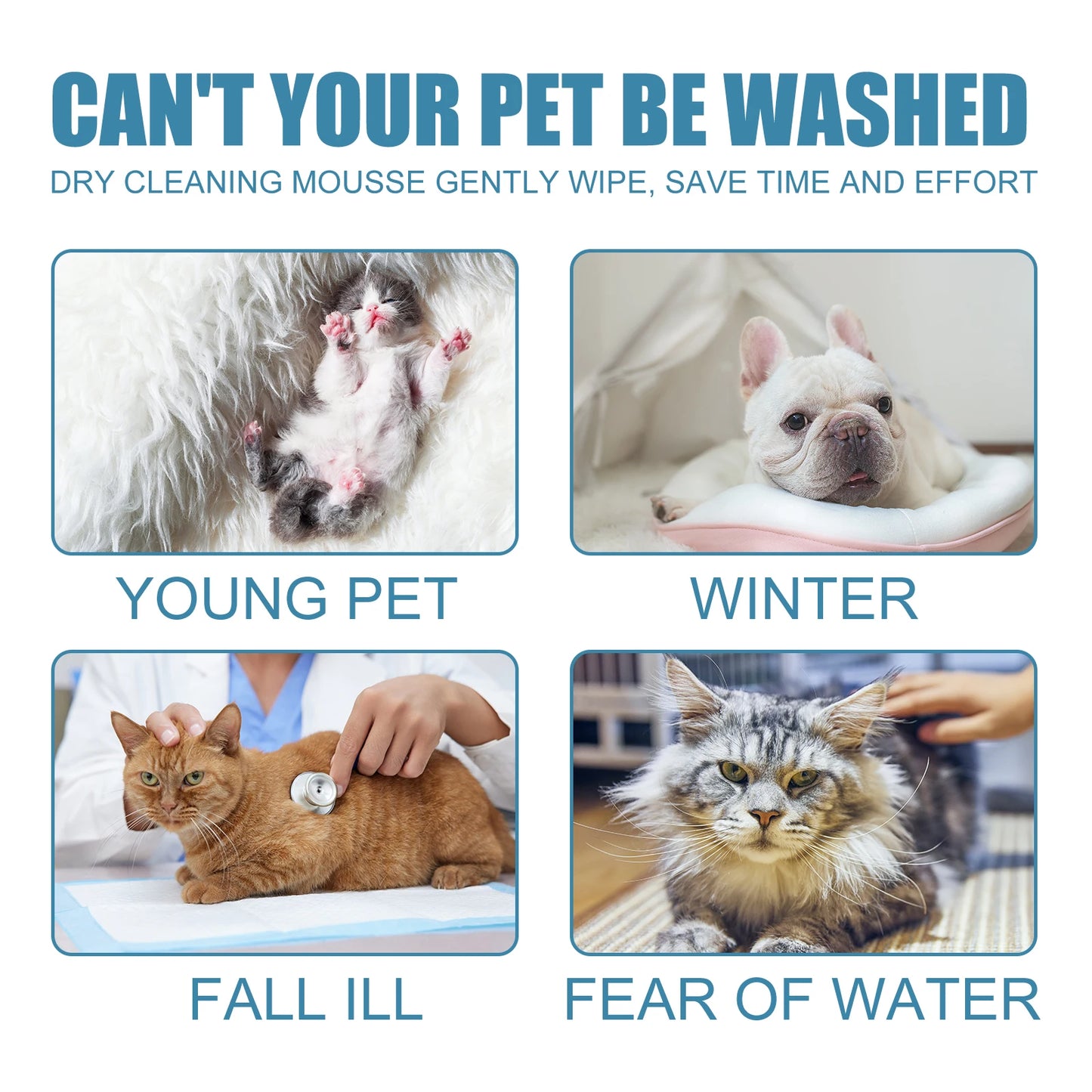 Wholesale Pet Supplies 60ml Pet Dry Cleaning Mousse for Dogs and Cats No Water Bath Gentle Effective Clean