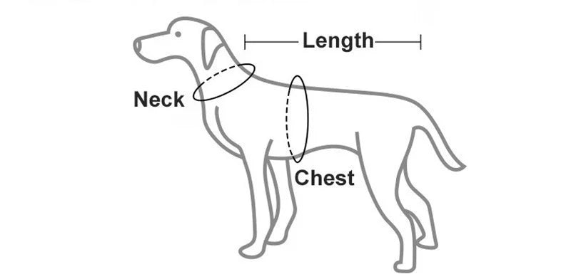 Benepaw Windproof  Warm Fleece Pet Clothing For Small Medium Large Dogs Winter Reflective Leash Hole Puppy Dog Clothes Jacket