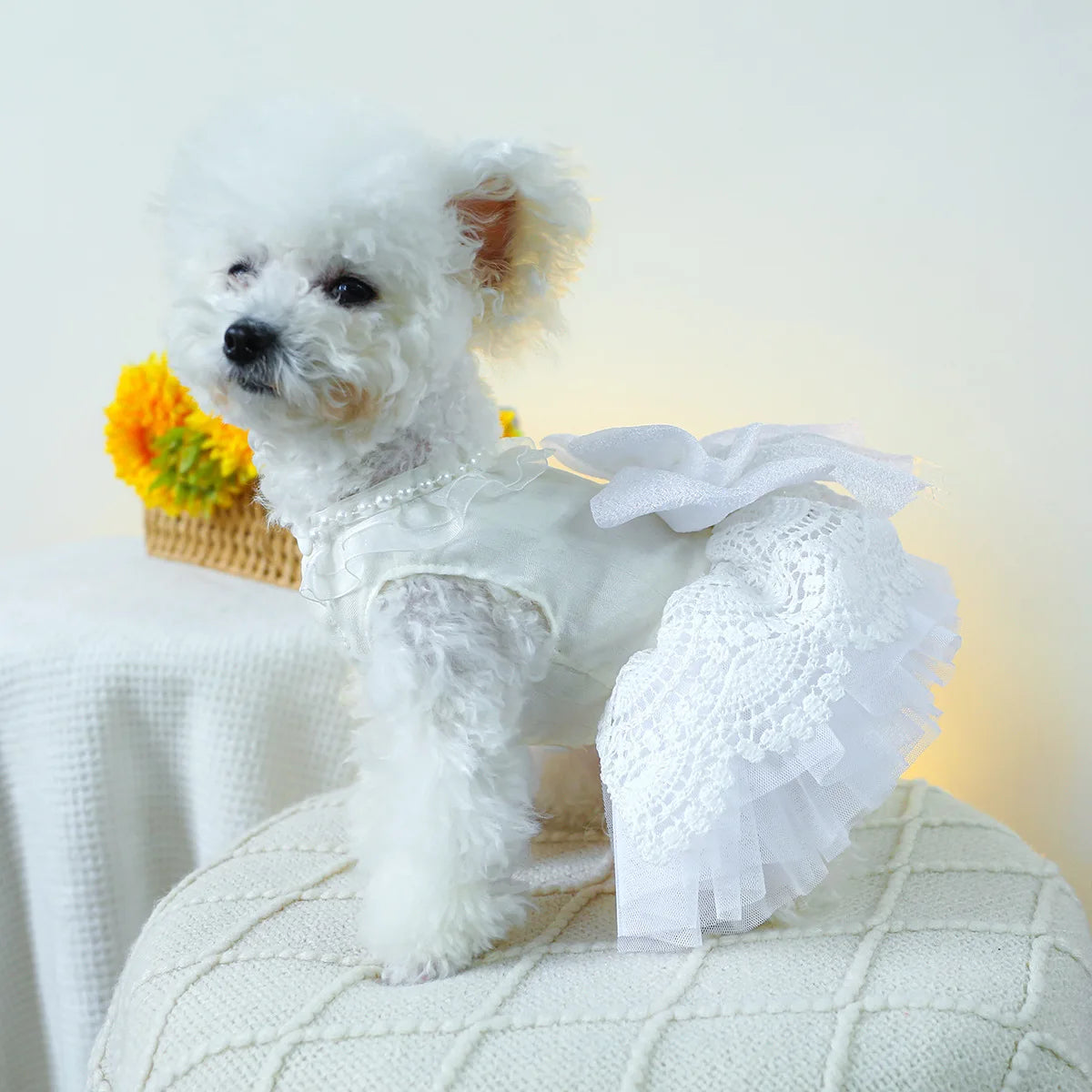 Luxury Princess Cat Wedding Dress Skirt Dog Dresses for Small Dogs Pet Clothing Costume Puppy Supplies Skirt ropa para perros
