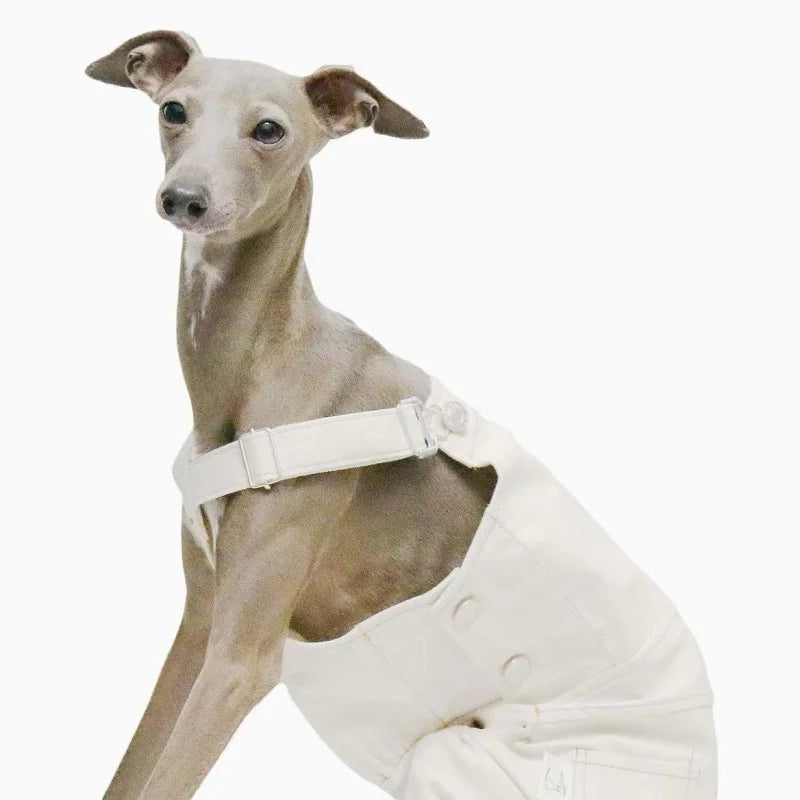 Pet Clothing Adjustable Blue Thin Denim Carrier Pants for Mid Dogs 4-legged Spring White Coat for Italy Greyhound Wellingtonian