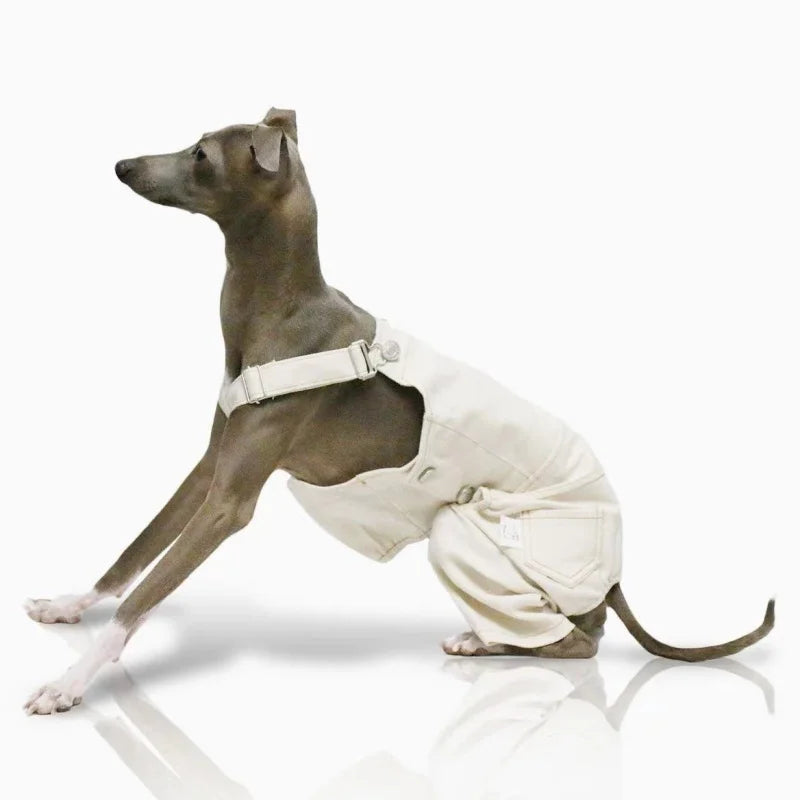 Pet Clothing Adjustable Blue Thin Denim Carrier Pants for Mid Dogs 4-legged Spring White Coat for Italy Greyhound Wellingtonian