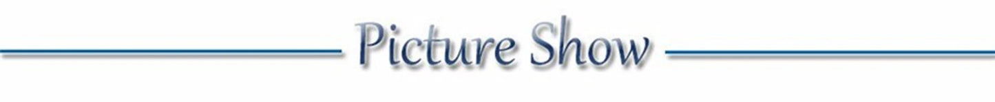 New Adjustable Led Glowing Pet Dog Collar PVC Waterproof  Anti Dirty Easy To Clean for Big Small Dogs Puppy Cat Luminous Collar