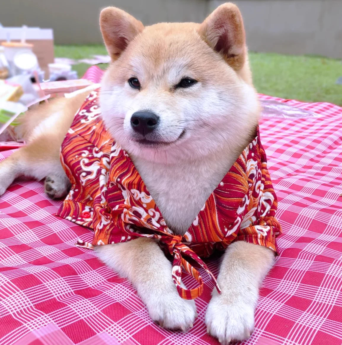 Japanese Style Pet Kimono Spring Summer Clothes for Cats And Dogs Small to Medium Size Shiba Inu Corgi Puppy Costume Outfit