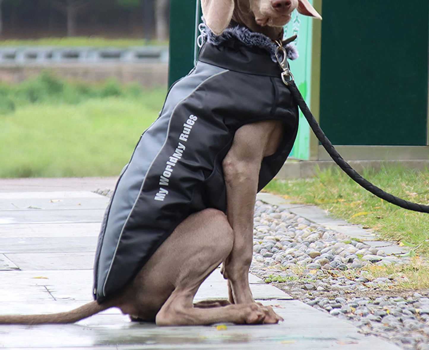 Waterproof Large Dog Clothes Winter Dog Coat With Harness Furry Collar Warm Pet Clothing Big Dog Jacket Labrador Bulldog Costume