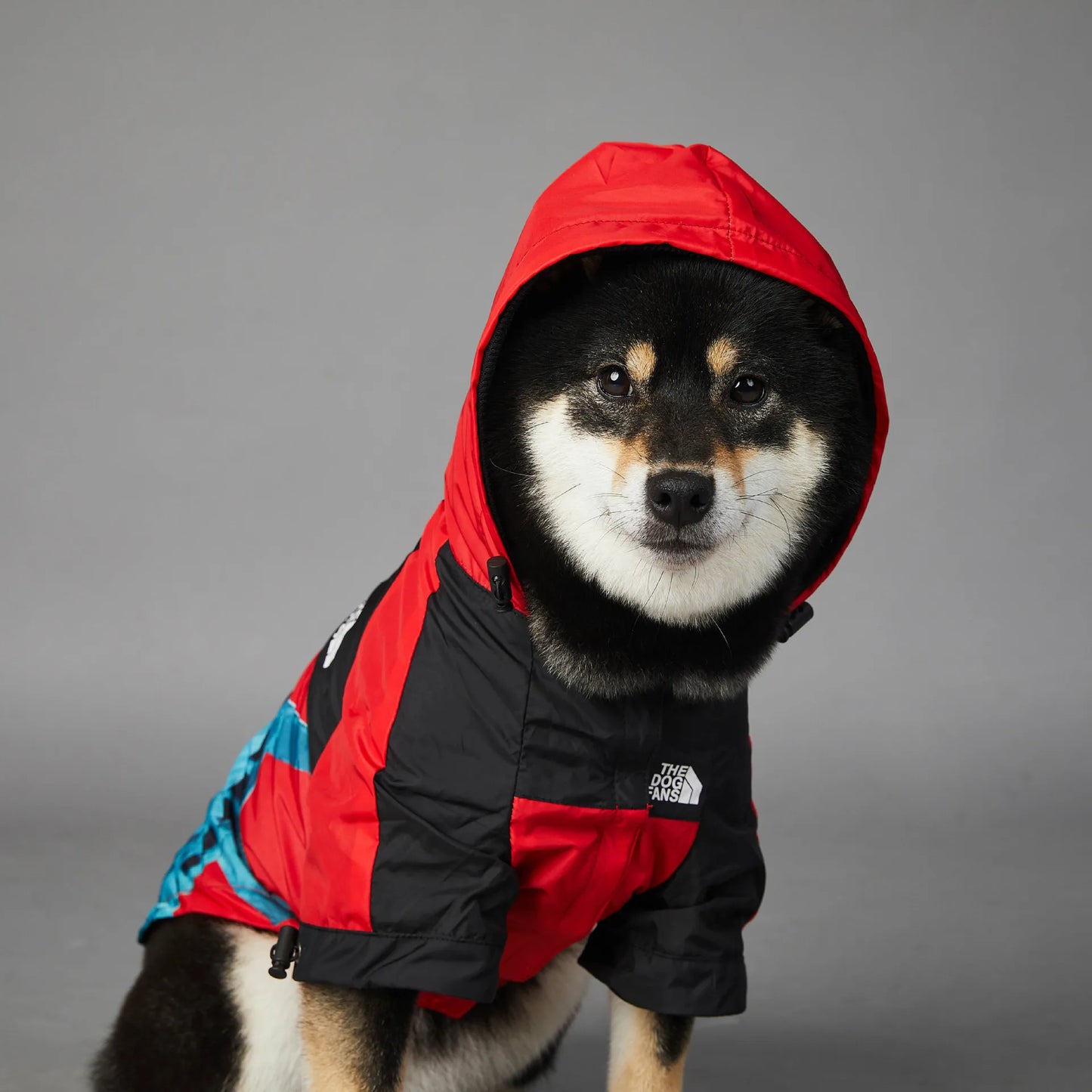 Luxury Designer Dog Clothes S-5XL Teddy French Bull Pitbull Dog Jacket Waterproof Rain Coat Pet Clothing