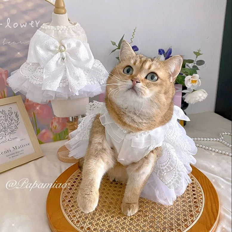 Luxury Princess Cat Wedding Dress Skirt Dog Dresses for Small Dogs Pet Clothing Costume Puppy Supplies Skirt ropa para perros