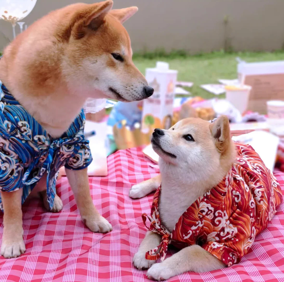 Japanese Style Pet Kimono Spring Summer Clothes for Cats And Dogs Small to Medium Size Shiba Inu Corgi Puppy Costume Outfit