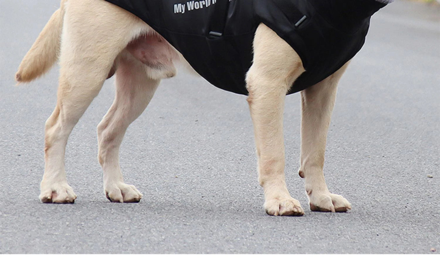Waterproof Large Dog Clothes Winter Dog Coat With Harness Furry Collar Warm Pet Clothing Big Dog Jacket Labrador Bulldog Costume