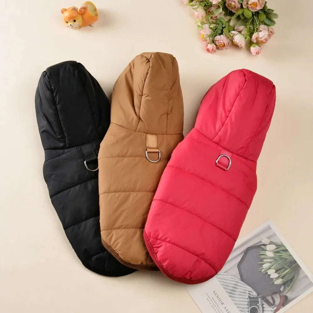 Pet Clothing Sweatshirt Dachshund Goods for Small Dogs Dog Winter Clothes Accessory Pets Accessories Soft Puppy Cute Coat Hoodie