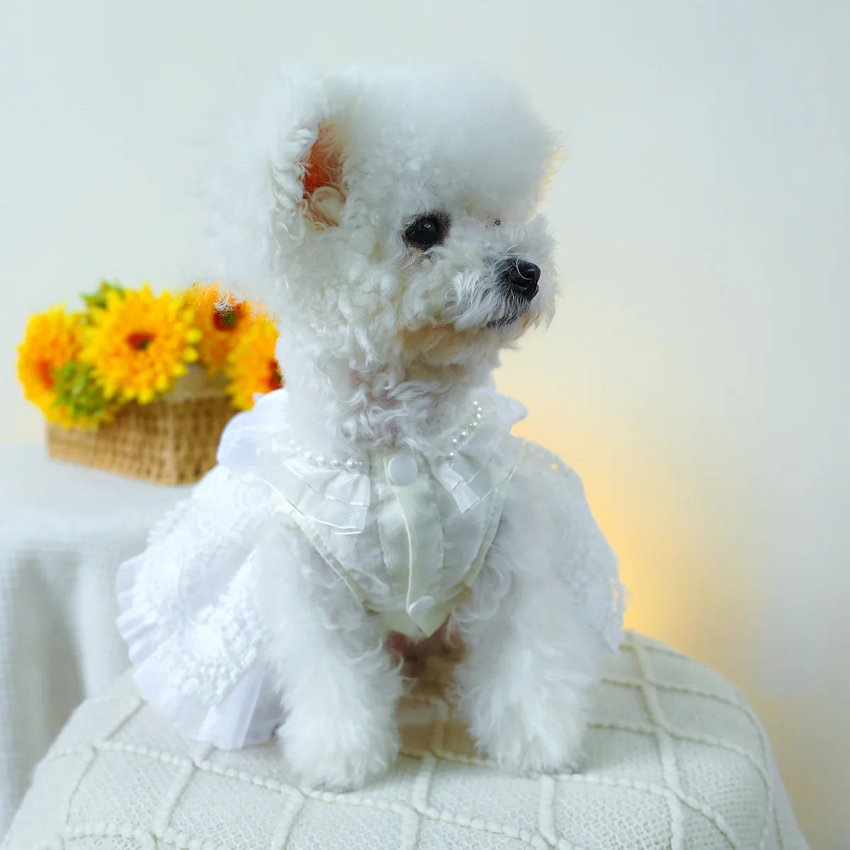 Luxury Princess Cat Wedding Dress Skirt Dog Dresses for Small Dogs Pet Clothing Costume Puppy Supplies Skirt ropa para perros