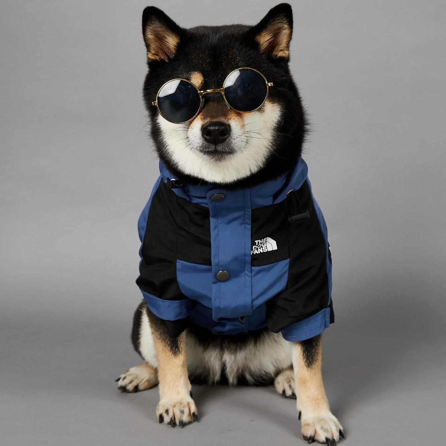 The Dog Fans Fashion Dog JackeT Outdoor Pet Clothing XS-5XL Medium Large Dog Rain Coat Puppy Waterproof Jacket