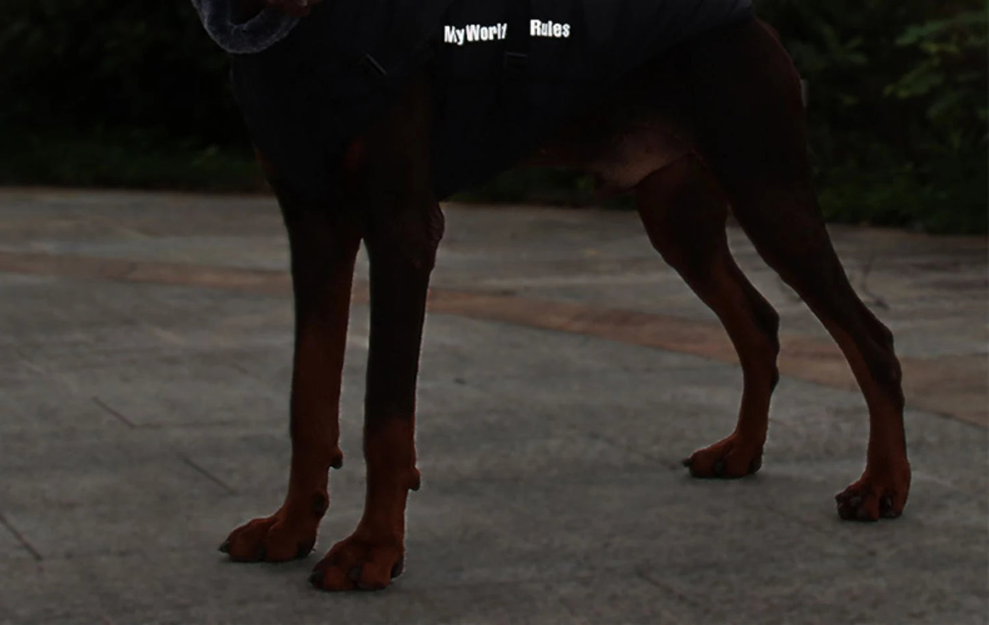 Waterproof Large Dog Clothes Winter Dog Coat With Harness Furry Collar Warm Pet Clothing Big Dog Jacket Labrador Bulldog Costume