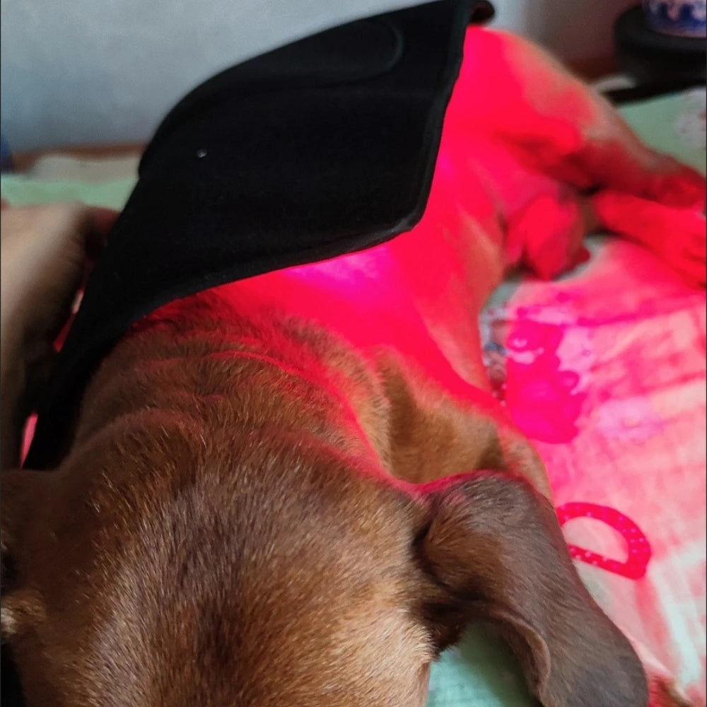 Pet Care Home Use Infrared Red Light Therapy Belt Wrap for Dogs Cats
