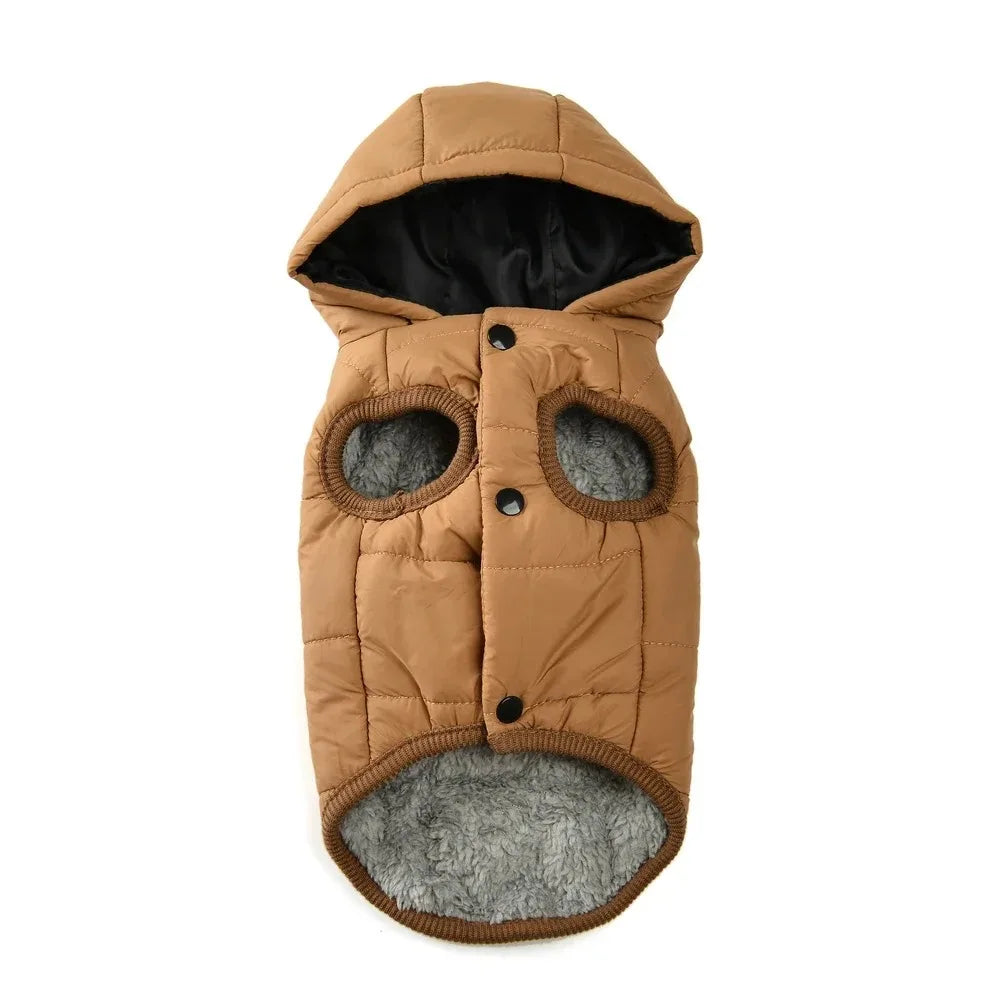 Pet Clothing Sweatshirt Dachshund Goods for Small Dogs Dog Winter Clothes Accessory Pets Accessories Soft Puppy Cute Coat Hoodie