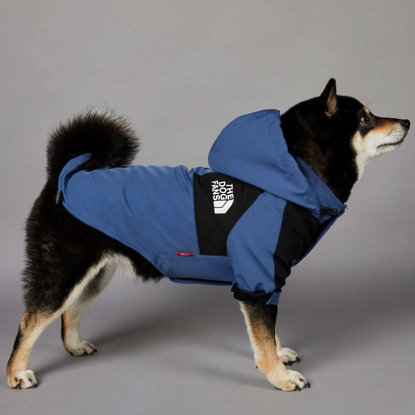 The Dog Fans Fashion Dog JackeT Outdoor Pet Clothing XS-5XL Medium Large Dog Rain Coat Puppy Waterproof Jacket