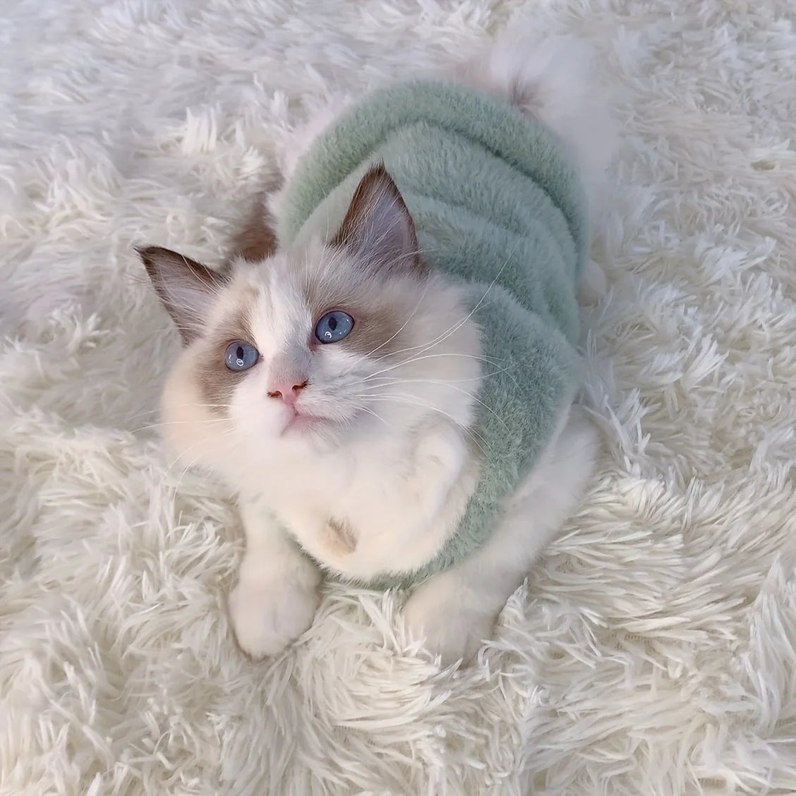 Warm Winter & Cooling Pet Clothing | Cat & Dog Sweater Vests for Small Kittens - Pet Accessories