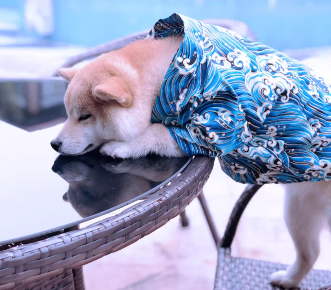 Japanese Style Pet Kimono Spring Summer Clothes for Cats And Dogs Small to Medium Size Shiba Inu Corgi Puppy Costume Outfit