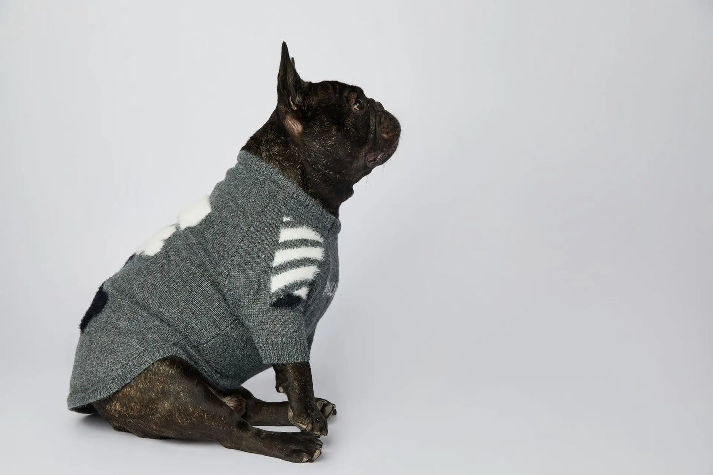Winter Thick Soft Pet Clothing S-3XL Cotton Dog Knitwear Funny WOOF Cute Luxury French Bull Sweaters Jumpers