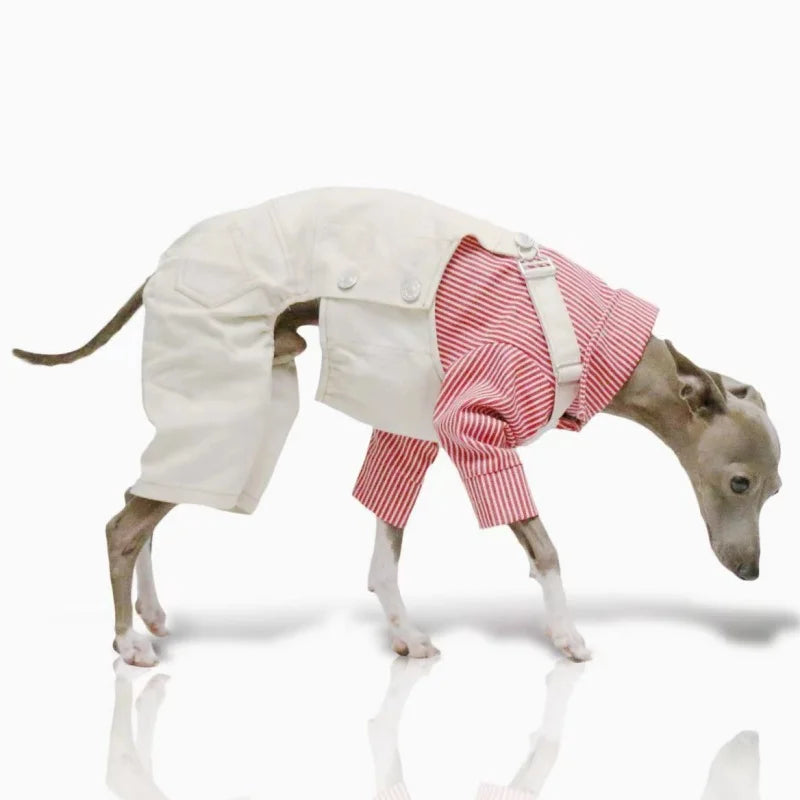 Pet Clothing Adjustable Blue Thin Denim Carrier Pants for Mid Dogs 4-legged Spring White Coat for Italy Greyhound Wellingtonian