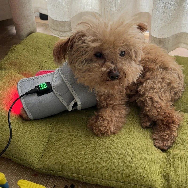 Pet Care Home Use Infrared Red Light Therapy Belt Wrap for Dogs Cats