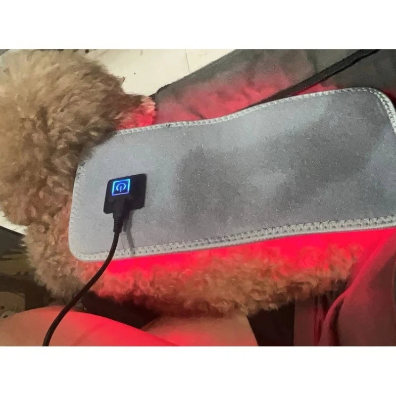 Pet Care Home Use Infrared Red Light Therapy Belt Wrap for Dogs Cats