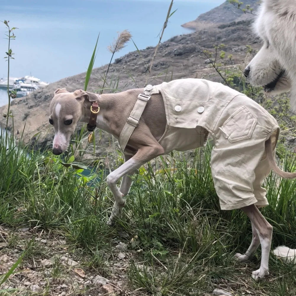 Pet Clothing Adjustable Blue Thin Denim Carrier Pants for Mid Dogs 4-legged Spring White Coat for Italy Greyhound Wellingtonian