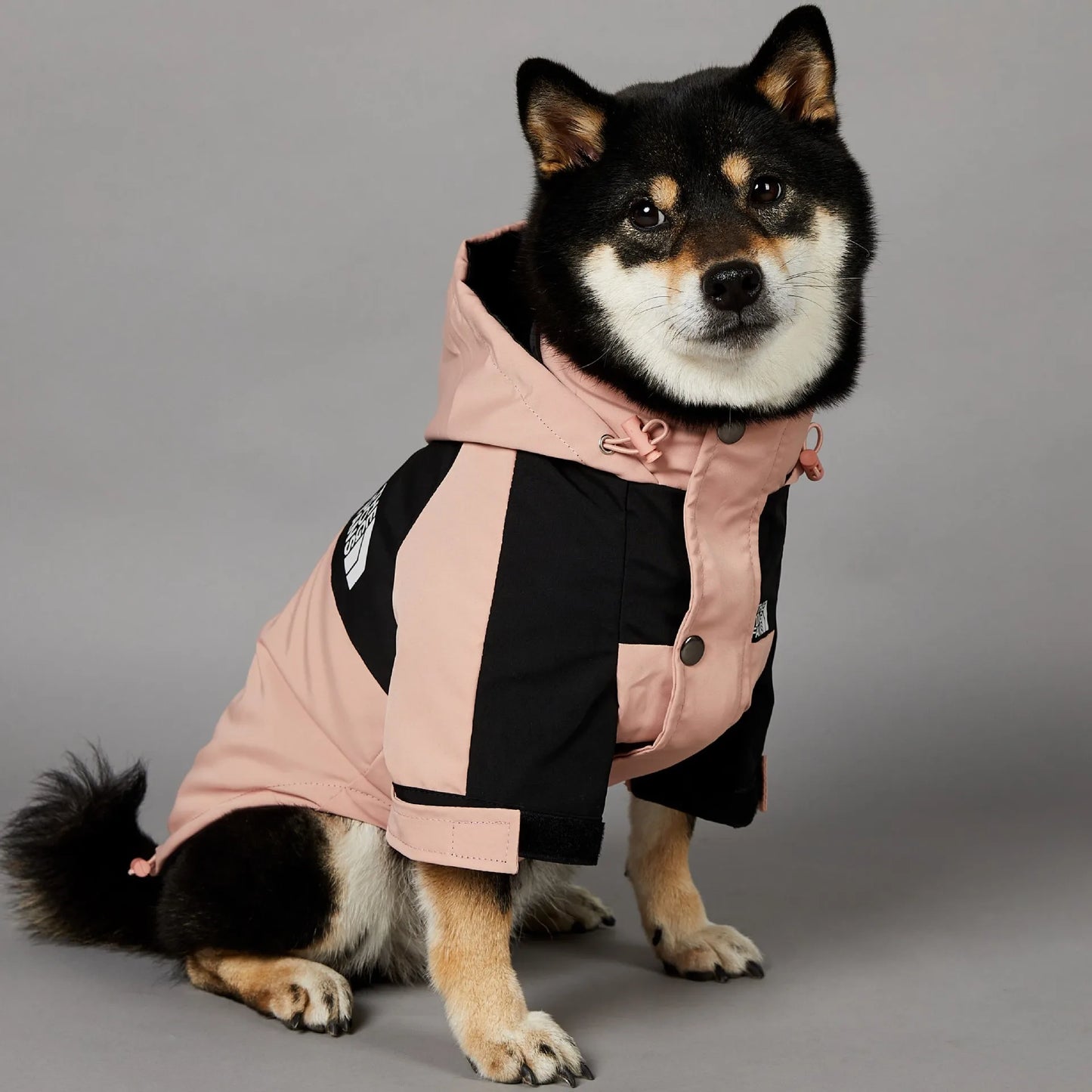 The Dog Fans Fashion Dog JackeT Outdoor Pet Clothing XS-5XL Medium Large Dog Rain Coat Puppy Waterproof Jacket