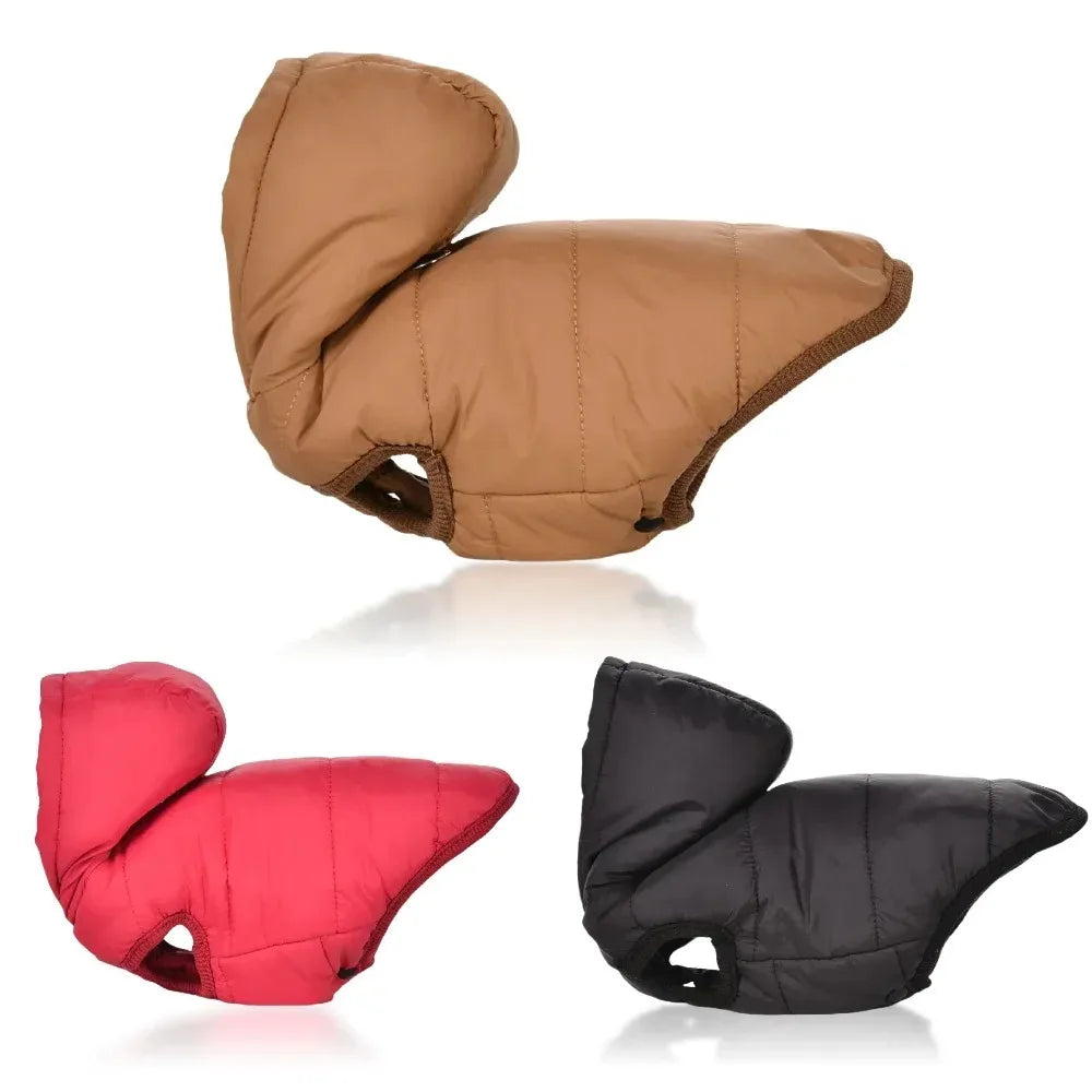 Pet Clothing Sweatshirt Dachshund Goods for Small Dogs Dog Winter Clothes Accessory Pets Accessories Soft Puppy Cute Coat Hoodie