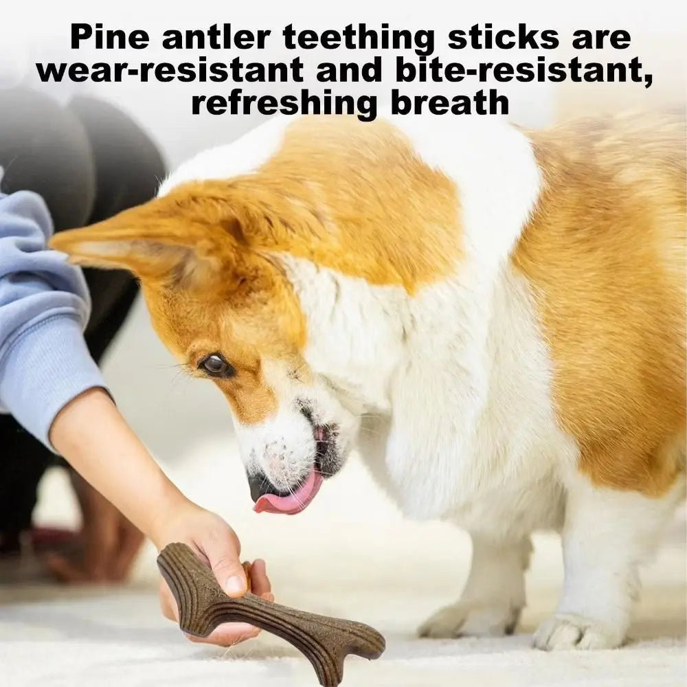 Real Wooden Deer Antlers Dog Chew Toys for Aggressive Chewers Large Dog Chewing Stick Indestructible Tough Durable Pet Toys Gift