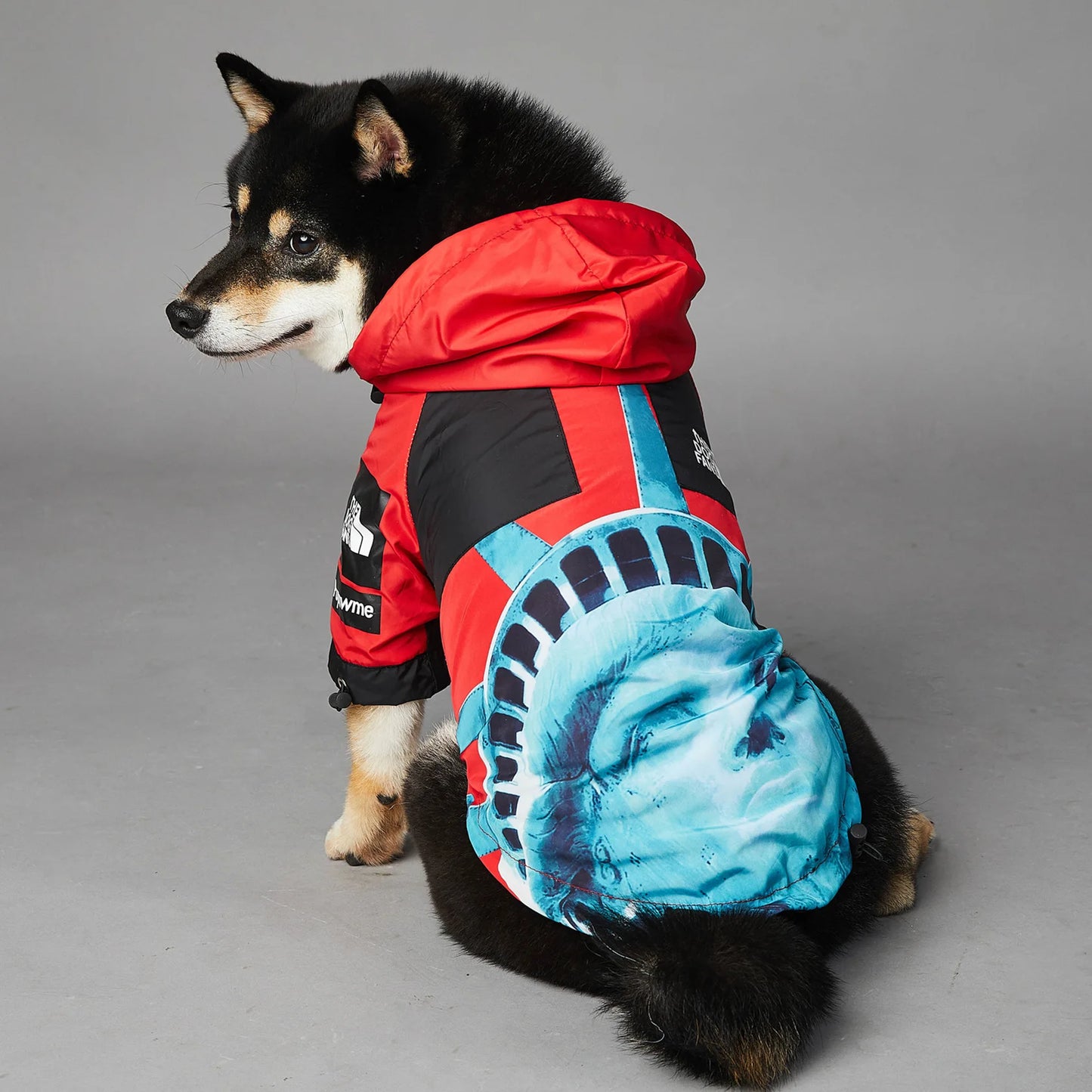 Luxury Designer Dog Clothes S-5XL Teddy French Bull Pitbull Dog Jacket Waterproof Rain Coat Pet Clothing