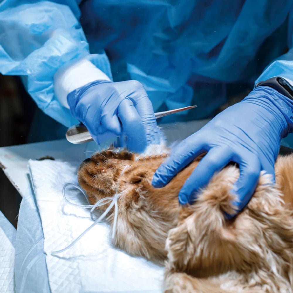 Animal Surgical Accessories Pet Vacuum Positioning Mat Small Veterinary Examination Pad Pet Care Room 100x60cm 60x40cm