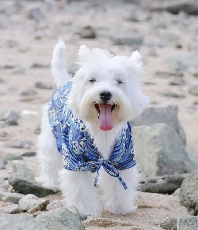 Japanese Style Pet Kimono Spring Summer Clothes for Cats And Dogs Small to Medium Size Shiba Inu Corgi Puppy Costume Outfit