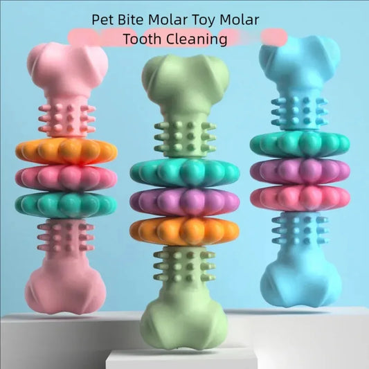 Pet Toys Dog Chew Meaty Bone Toys TPR Bone Type Multi-meat Pieces Bite Bite Resistant Teeth Toy Set Dog Bone Toy Supplies