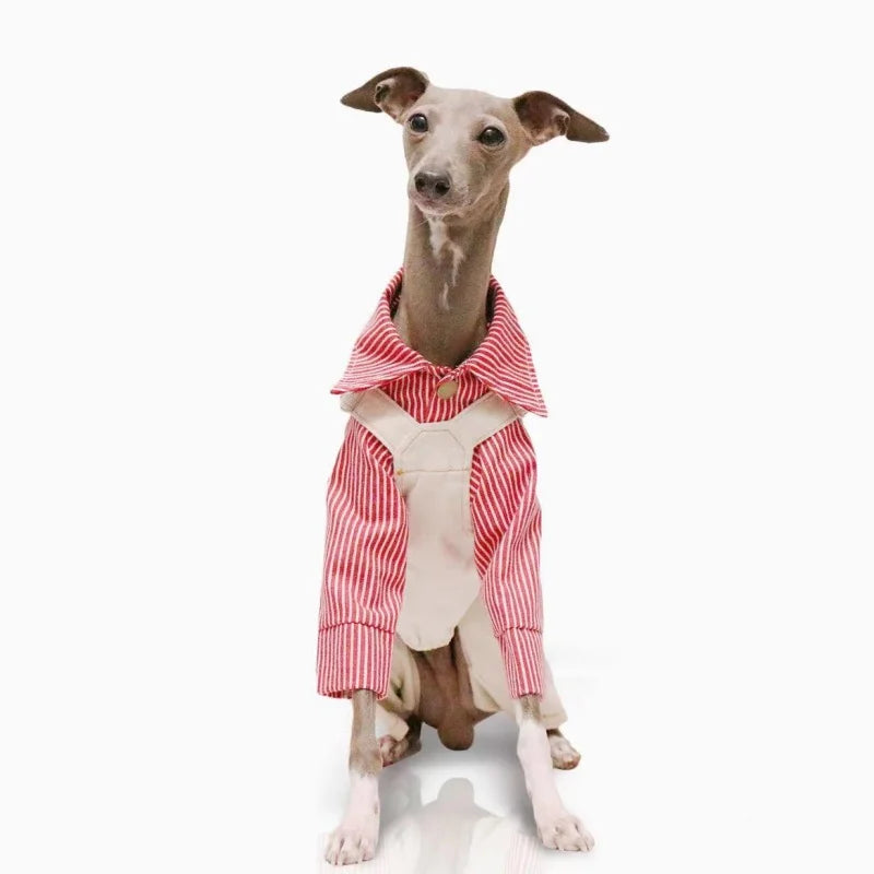 Pet Clothing Adjustable Blue Thin Denim Carrier Pants for Mid Dogs 4-legged Spring White Coat for Italy Greyhound Wellingtonian