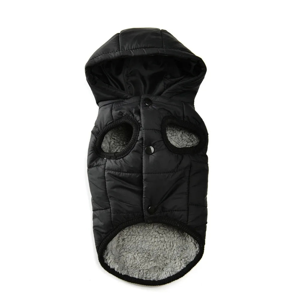Pet Clothing Sweatshirt Dachshund Goods for Small Dogs Dog Winter Clothes Accessory Pets Accessories Soft Puppy Cute Coat Hoodie