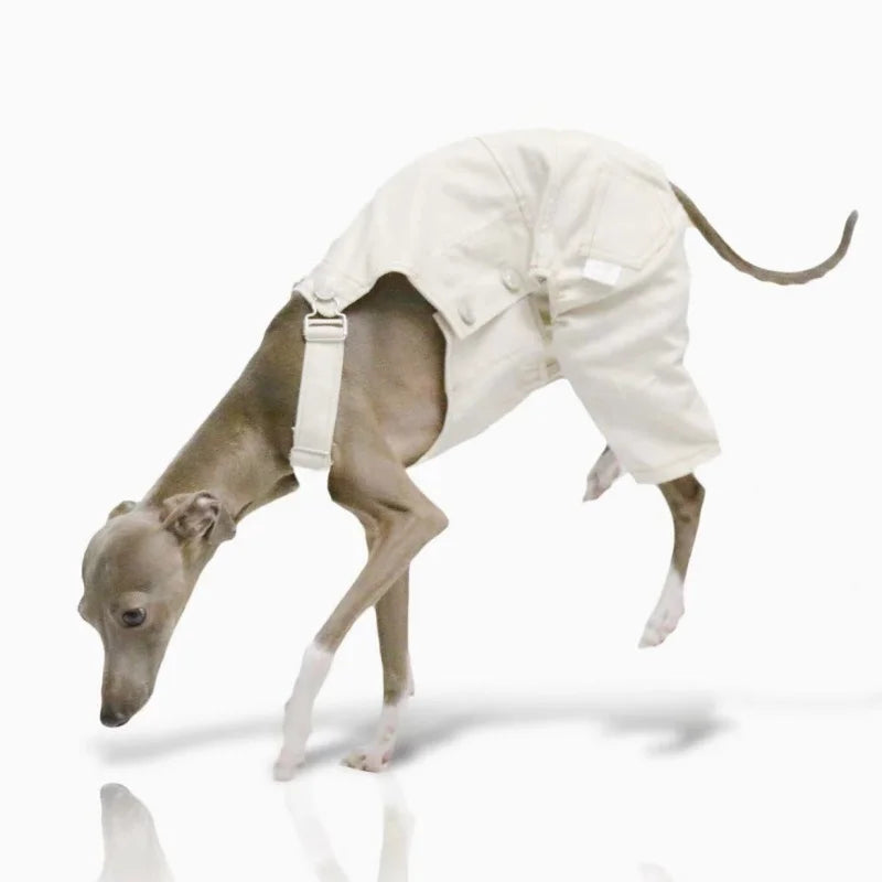 Pet Clothing Adjustable Blue Thin Denim Carrier Pants for Mid Dogs 4-legged Spring White Coat for Italy Greyhound Wellingtonian