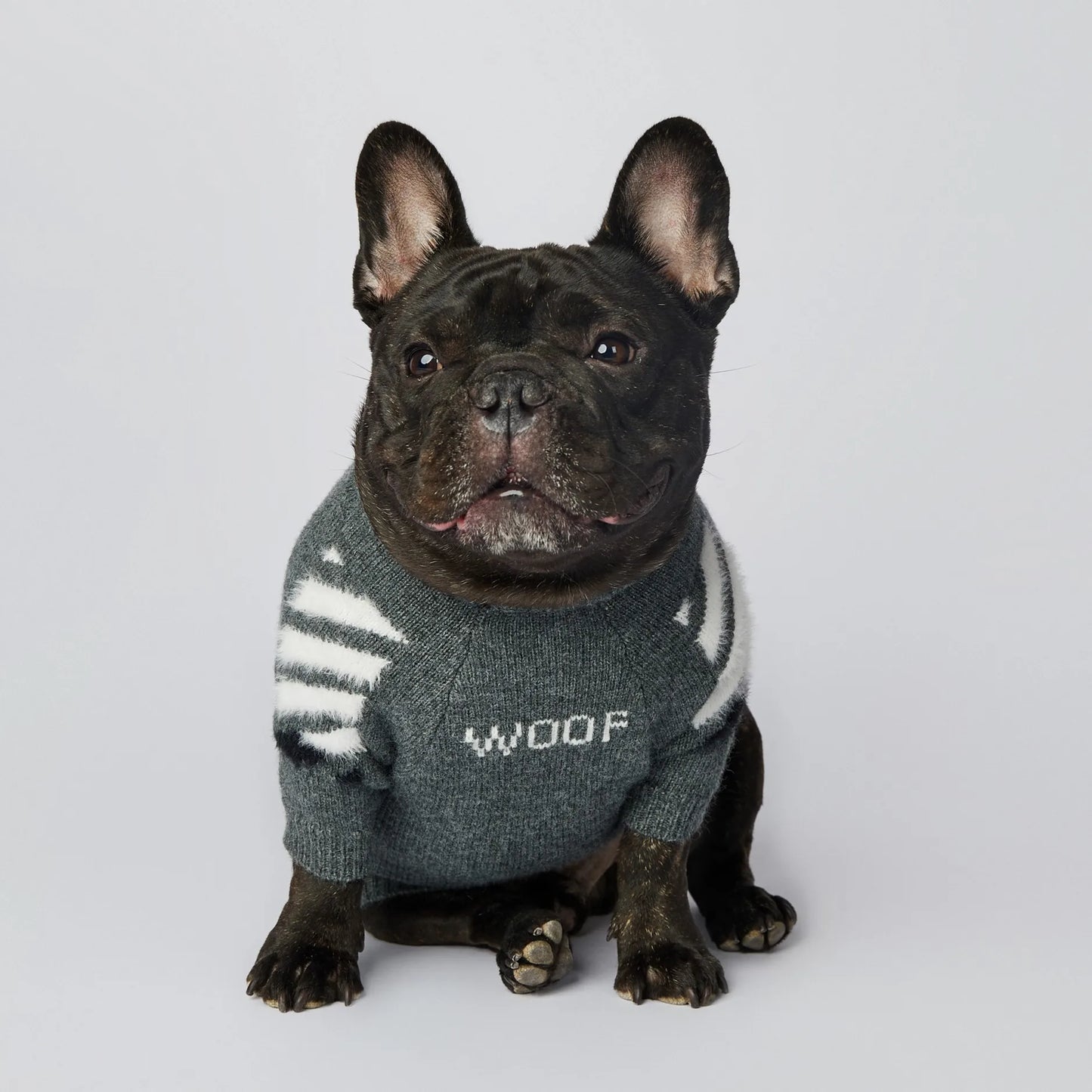 Winter Thick Soft Pet Clothing S-3XL Cotton Dog Knitwear Funny WOOF Cute Luxury French Bull Sweaters Jumpers