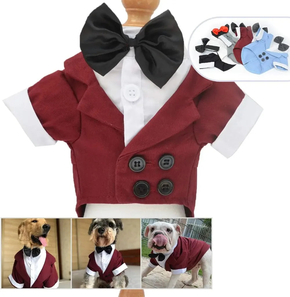 Halloween Dog Costume Pet Formal Tuxedo Dress & Wedding Suit Big Dog Clothes with Black Bow Cosplay Large Pet Clothing for Party