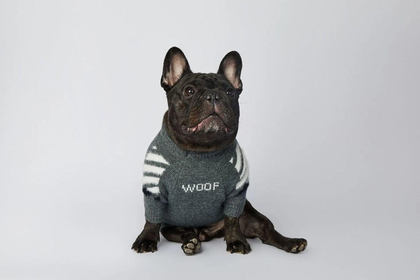 Winter Thick Soft Pet Clothing S-3XL Cotton Dog Knitwear Funny WOOF Cute Luxury French Bull Sweaters Jumpers