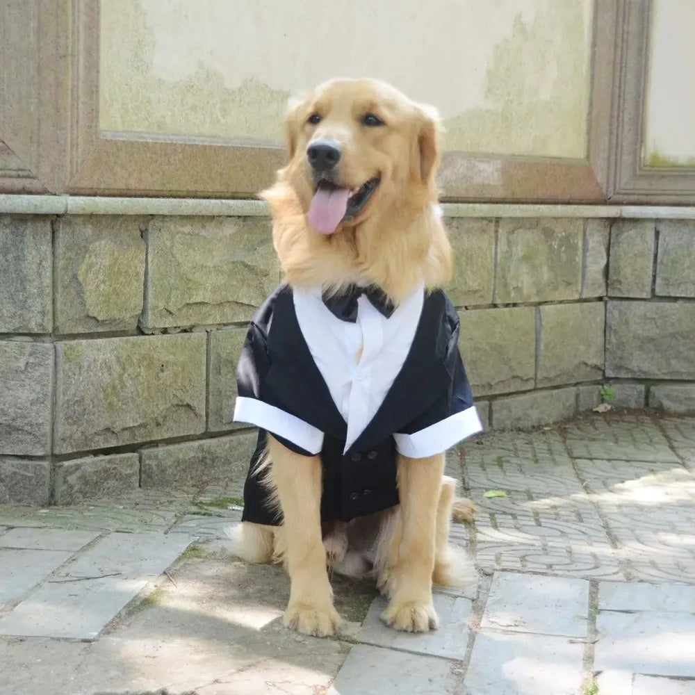 Halloween Dog Costume Pet Formal Tuxedo Dress & Wedding Suit Big Dog Clothes with Black Bow Cosplay Large Pet Clothing for Party