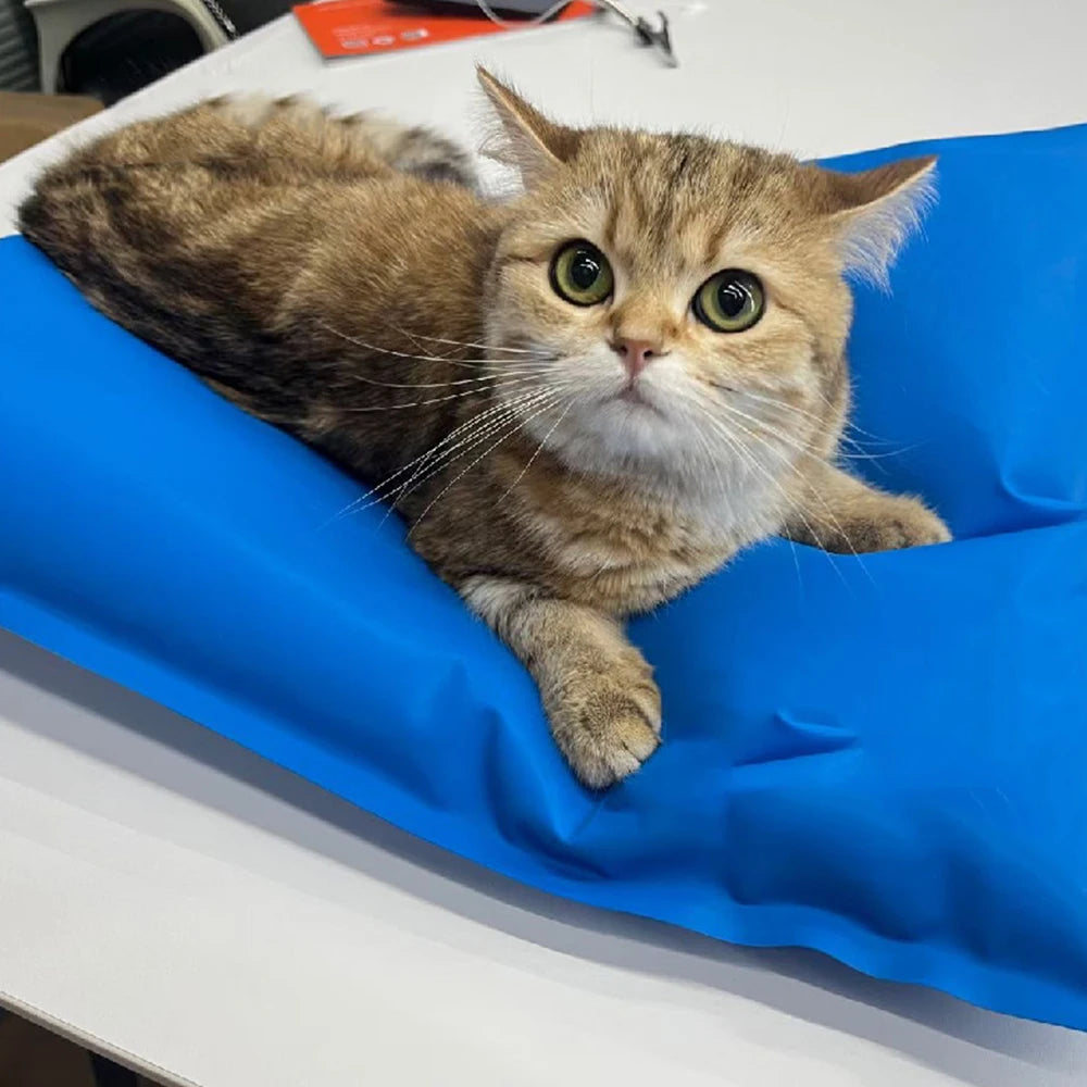 Animal Surgical Accessories Pet Vacuum Positioning Mat Small Veterinary Examination Pad Pet Care Room 100x60cm 60x40cm