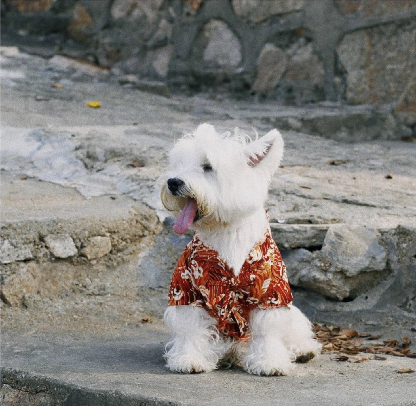 Japanese Style Pet Kimono Spring Summer Clothes for Cats And Dogs Small to Medium Size Shiba Inu Corgi Puppy Costume Outfit