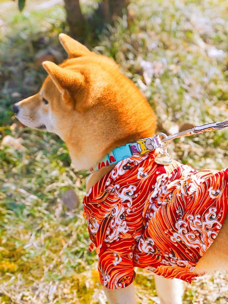 Japanese Style Pet Kimono Spring Summer Clothes for Cats And Dogs Small to Medium Size Shiba Inu Corgi Puppy Costume Outfit