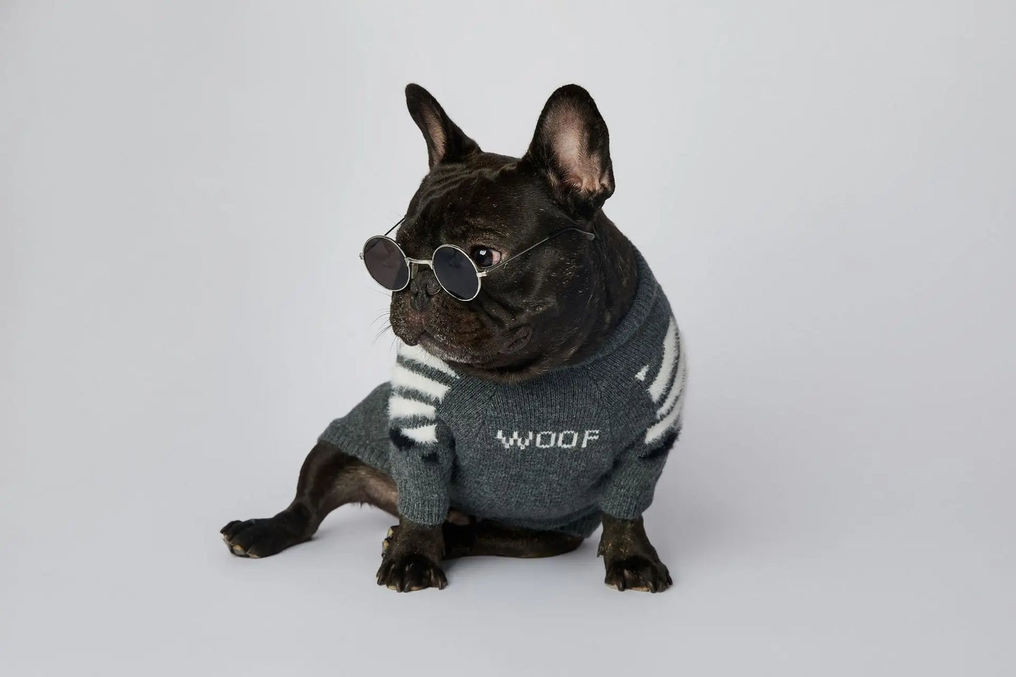 Winter Thick Soft Pet Clothing S-3XL Cotton Dog Knitwear Funny WOOF Cute Luxury French Bull Sweaters Jumpers
