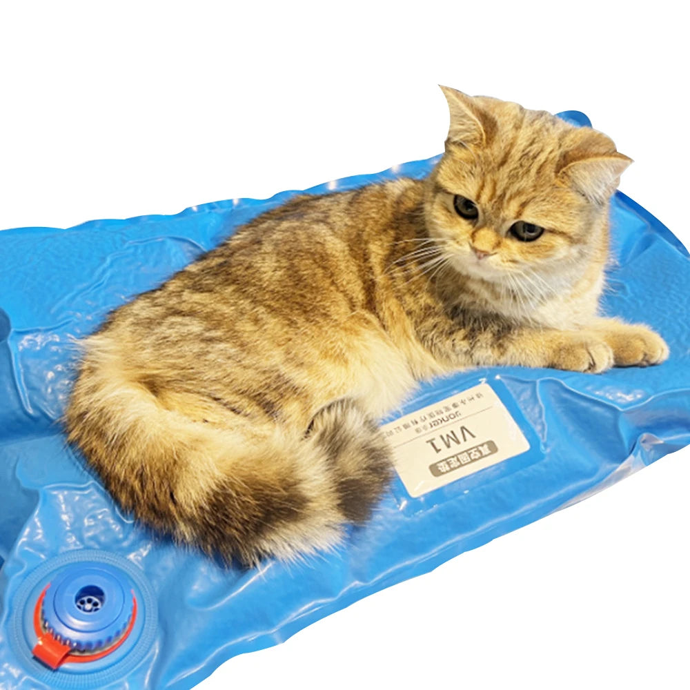 Animal Surgical Accessories Pet Vacuum Positioning Mat Small Veterinary Examination Pad Pet Care Room 100x60cm 60x40cm