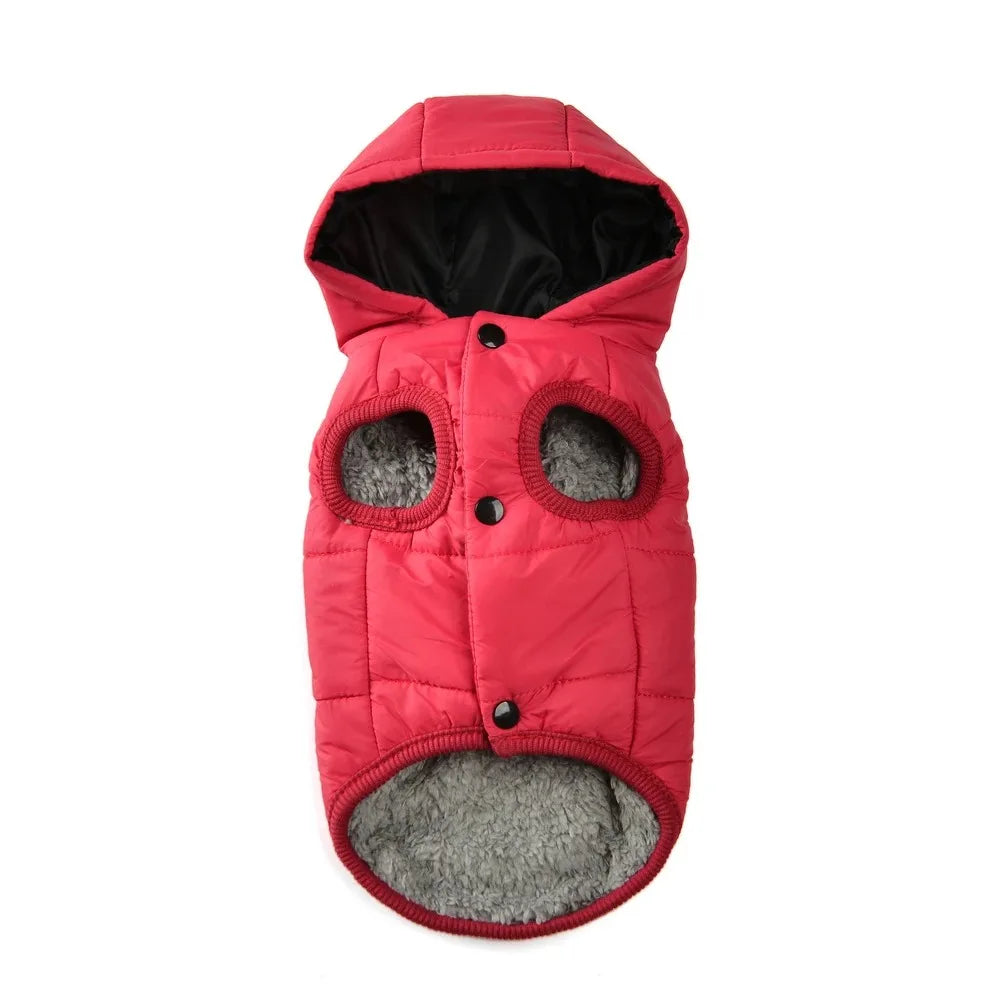 Pet Clothing Sweatshirt Dachshund Goods for Small Dogs Dog Winter Clothes Accessory Pets Accessories Soft Puppy Cute Coat Hoodie